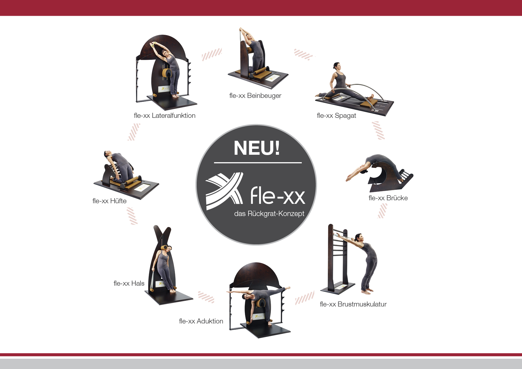 fle-xx – das Rückgrat-Konzept (8 Stationen) fle-xx – das Rückgrat-Konzept (8 Stationen)
