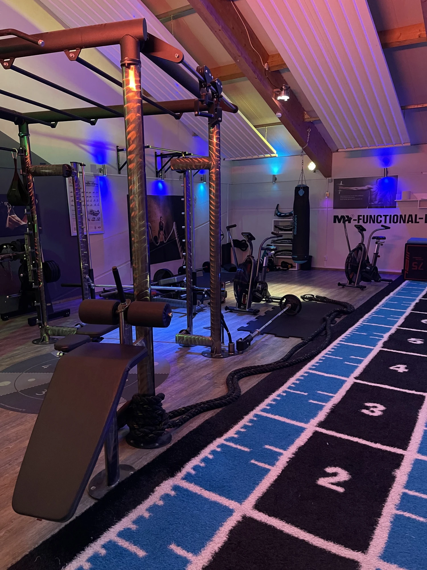 Functional-Trainingsbereich im Highlight Lauterbach mit Trainingsgerüst, Seilen und Sprintbahn